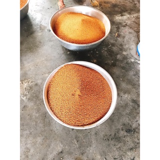 Xả Kho [500g] Muối Ớt Tây Ninh