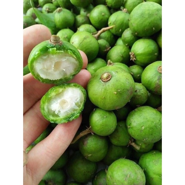 sấu xanh hút chân không 1kg❤️GIÁ SỈ❤️ giòn ngon dày thịt