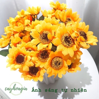 Combo 5 chùm hoa hướng dương lụa mã 088