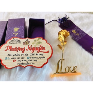 hoa Hồng mạ vàng