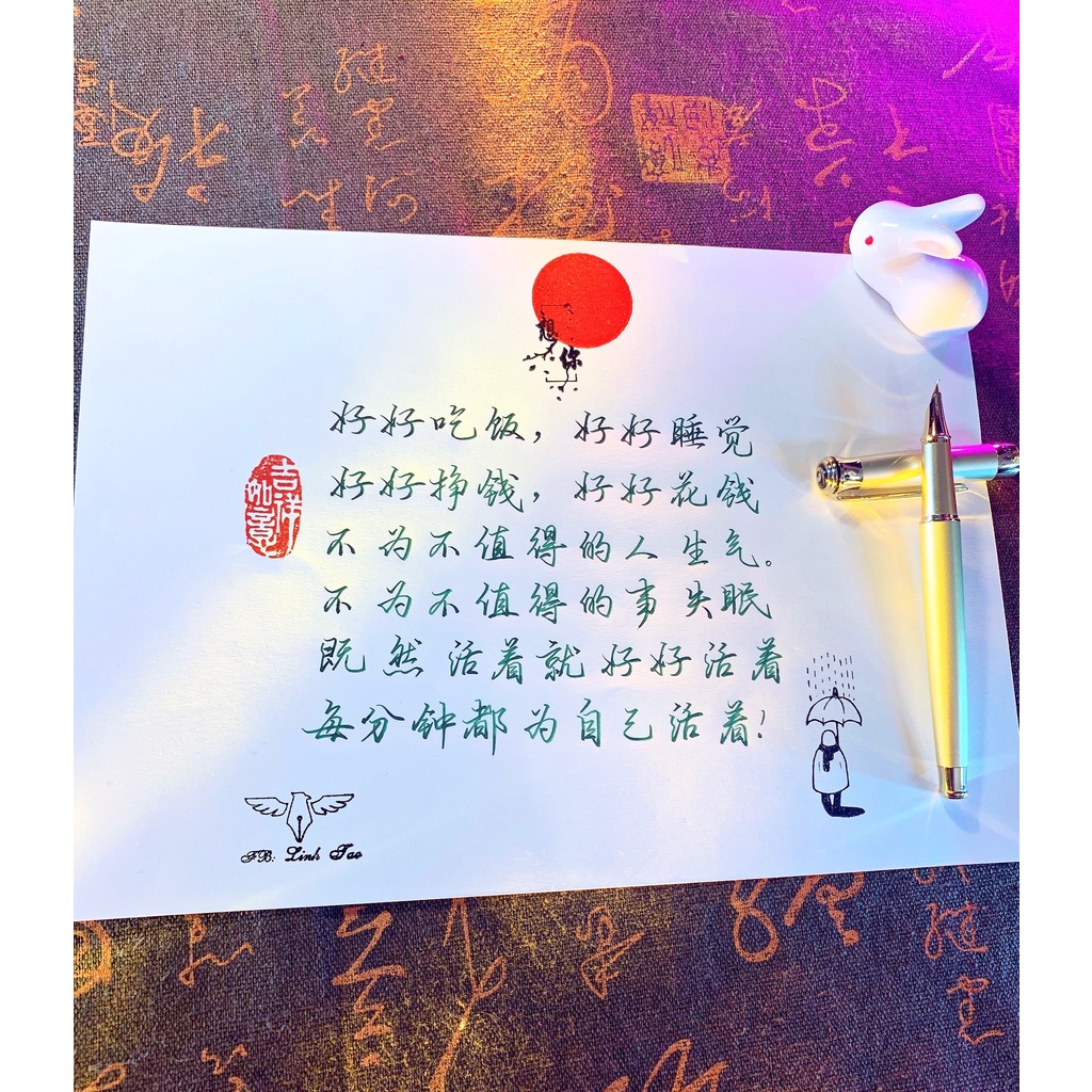 Bút Máy cao cấp ngòi kín cong hành thư đẹp 0.7m - TLBM10