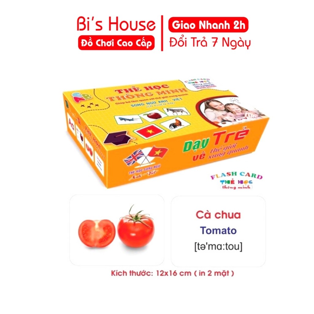 Thẻ học thông minh 18 chủ đề song ngữ chuẩn Glenn Doman Flashcard ( loại to)