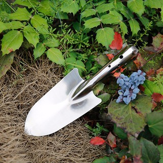 Bay tay lớn có thước đo Inox mũi tròn LV100