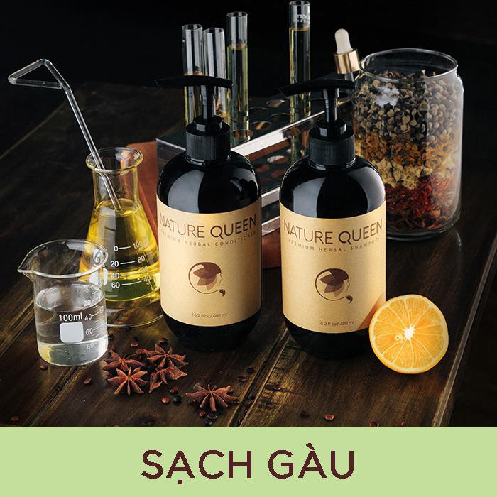 Combo 2 dầu gội Nature Queen 480ml