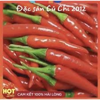Hạt giống ớt hiểm lai f1 rd789