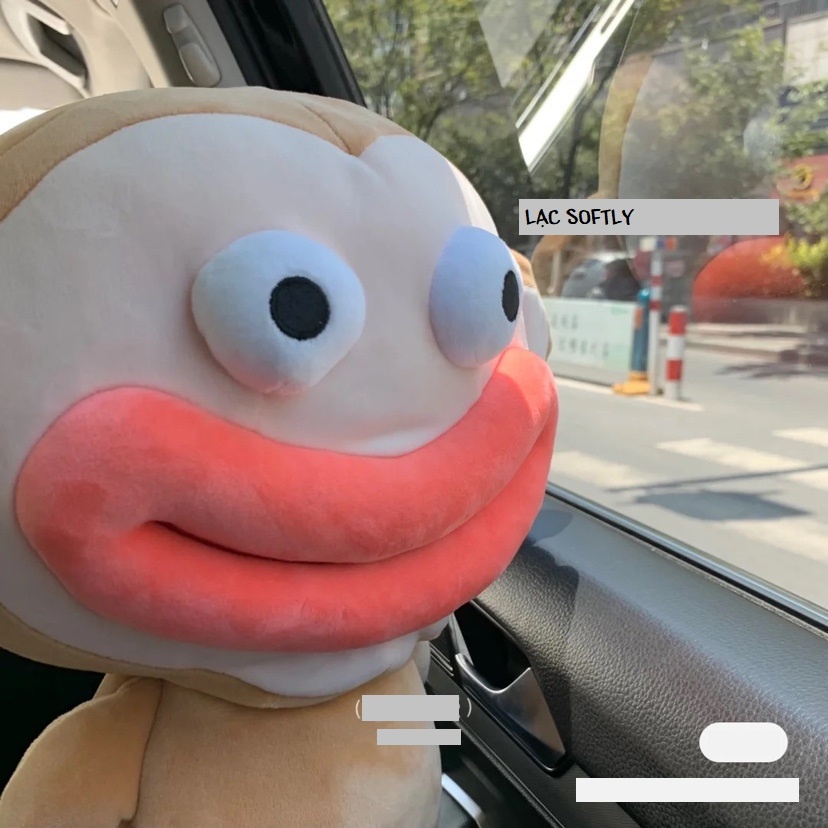 Order | Khỉ bông môi trề mắt trố độc đáo lạ mắt