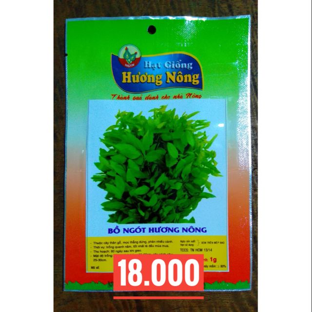 Hạt giống Bồ Ngót
