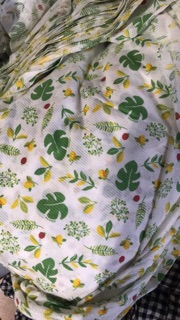 Bộ cotton giấy chất Hàn xuất dư