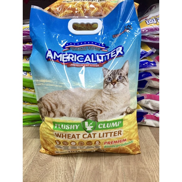 Cát Americal litter lúa mạch