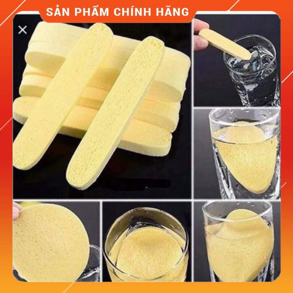 Bông Mút Rửa Mặt Nén ChiVey Nhật Bản 12 Miếng