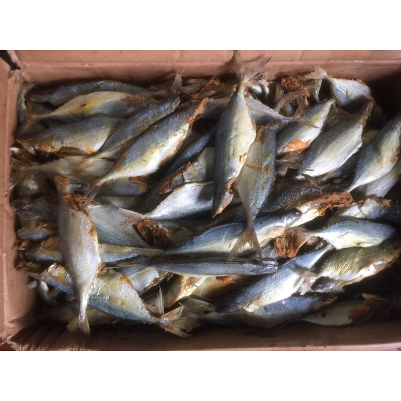 - Cá nục khô ướp mặn 500g, 1kg