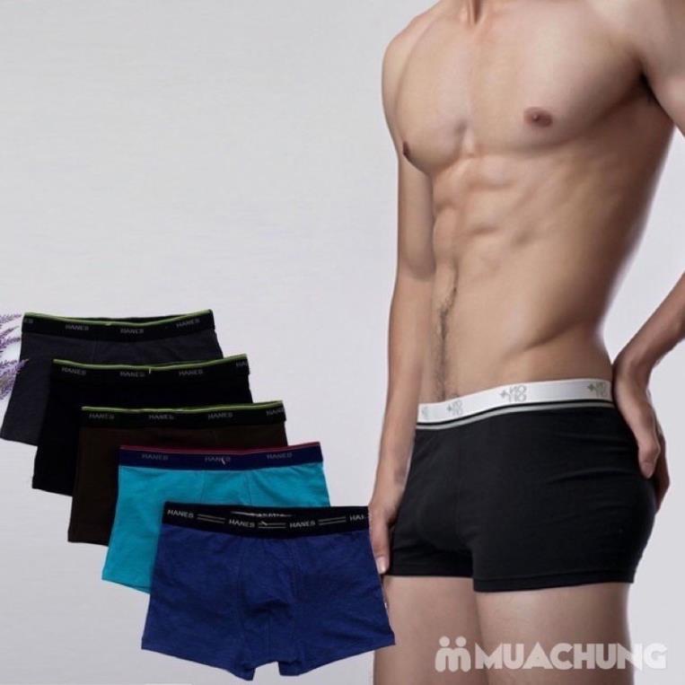Quần sịp đùi nam chất vải cotton co giãn 4 chiều thoáng mát màu ngẫu nhiên - Hàng chất lượng cao