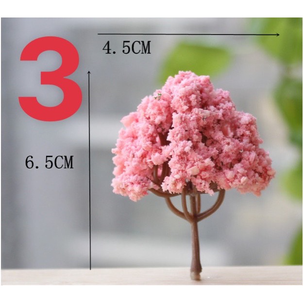 Mô Hình Cây Ăn Qủa , Cây Hoa , Cây Trang Trí Tiểu Cảnh Terarium , Sen Đá , Xương Rồng , Phụ Kiện Trang Trí Tiểu Cảnh