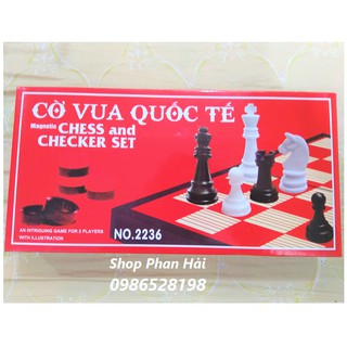 Bộ cờ vua quốc tế nam châm cỡ lớn và cỡ vừa