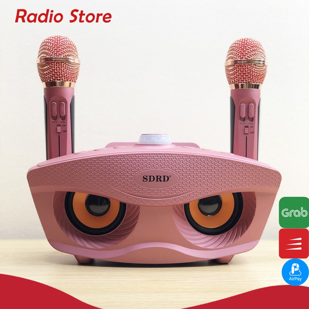 Loa karaoke bluetooth SD-306 Plus bản mới nhất tặng kèm 2 Micro không dây âm thanh siêu ngầu