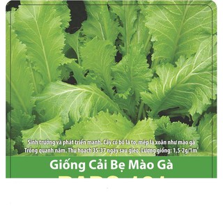 Hạt Giống Cải Bẹ Mào Gà 10gr