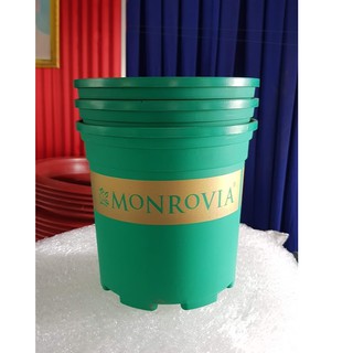 Chậu nhựa trồng cây MONROVIA size 2 GAL (kích thước 23cm x 21.5cm x 18cm)  - Shop Chậu Cảnh