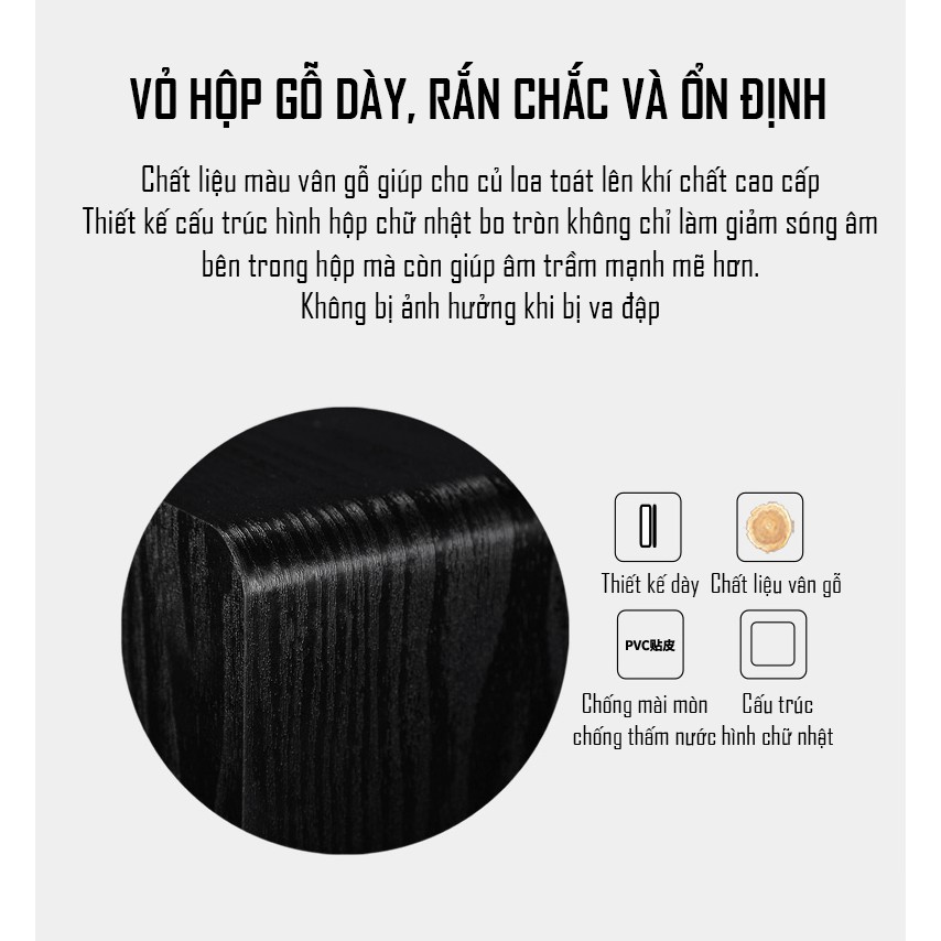 Loa Subwoofer Điện Siêu Trầm Cao Cấp IBASS SU650D