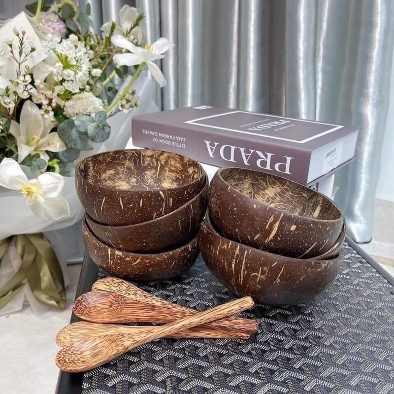 COMBO Bát/Chén Gáo Dừa + Muỗng Gỗ Dừa Siêu Cưng