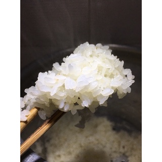 GẠO NẾP LÀO CAI NỌI