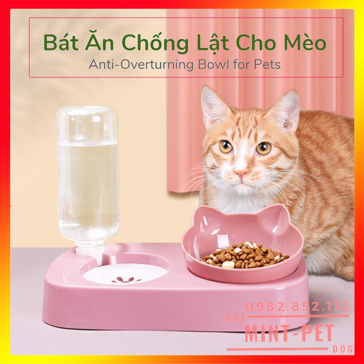 Bát Ăn Chống Lật Kèm Bình Nước Tự Động Mèo #MintPet