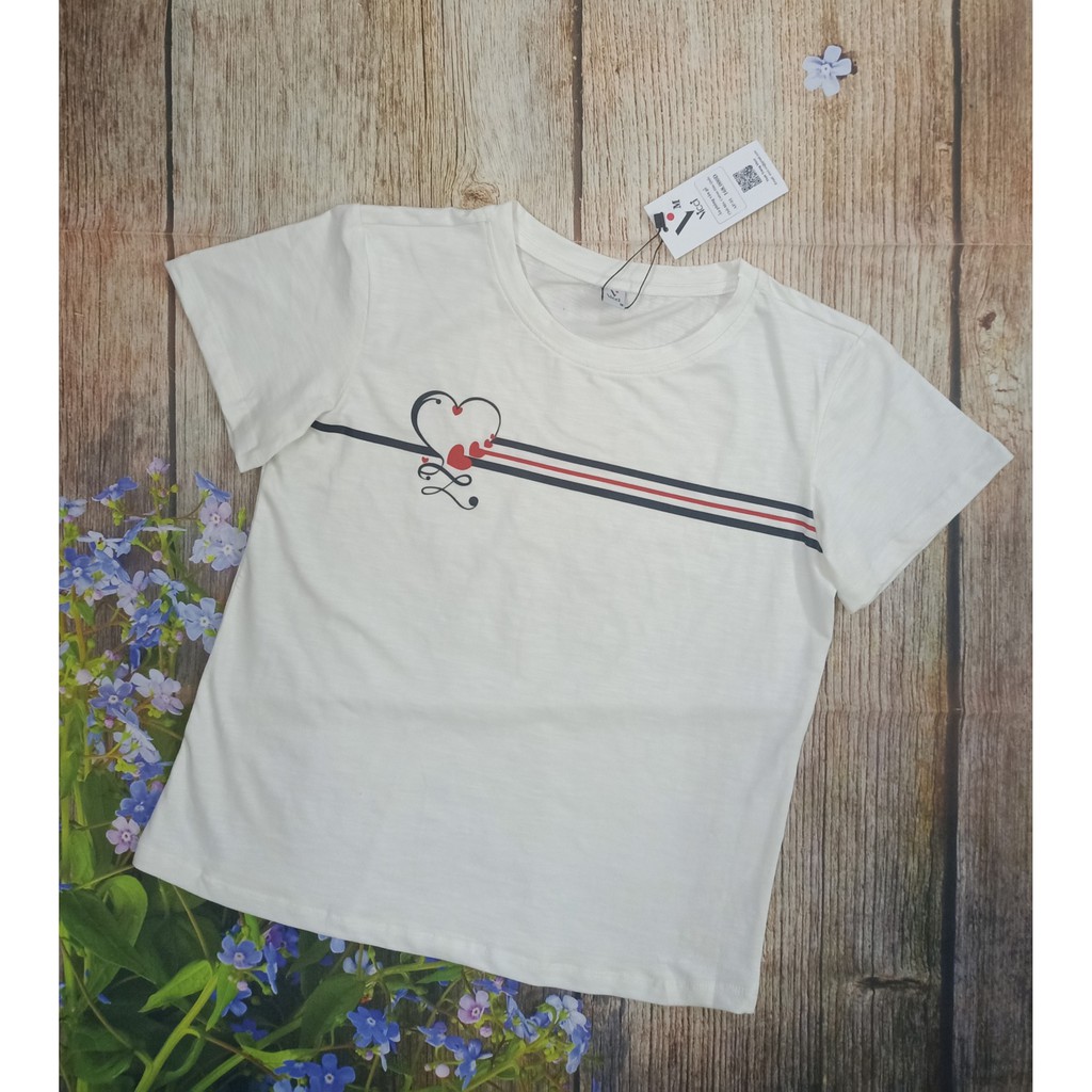 Áo Thun Ngắn Tay, Áo Phông Cộc Tay Vicci AP.01.6 chất liệu cotton vân gỗ phối hoạ tiết kẻ