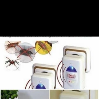 Máy Đuổi Muỗi