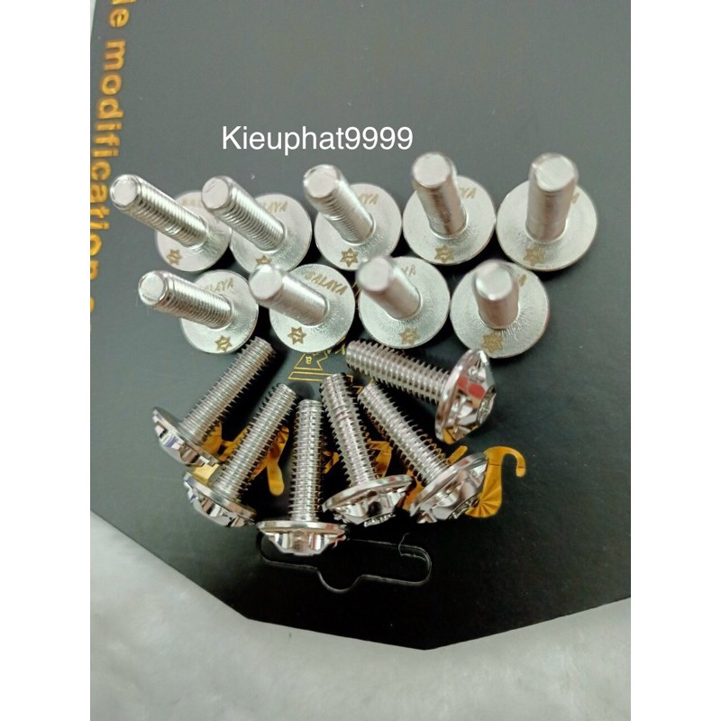 Ốc 6li Inox Salaya đầu nhiều sao Bắt Dàn Áo Che Pô Cacte Che Sên Bảng Tên