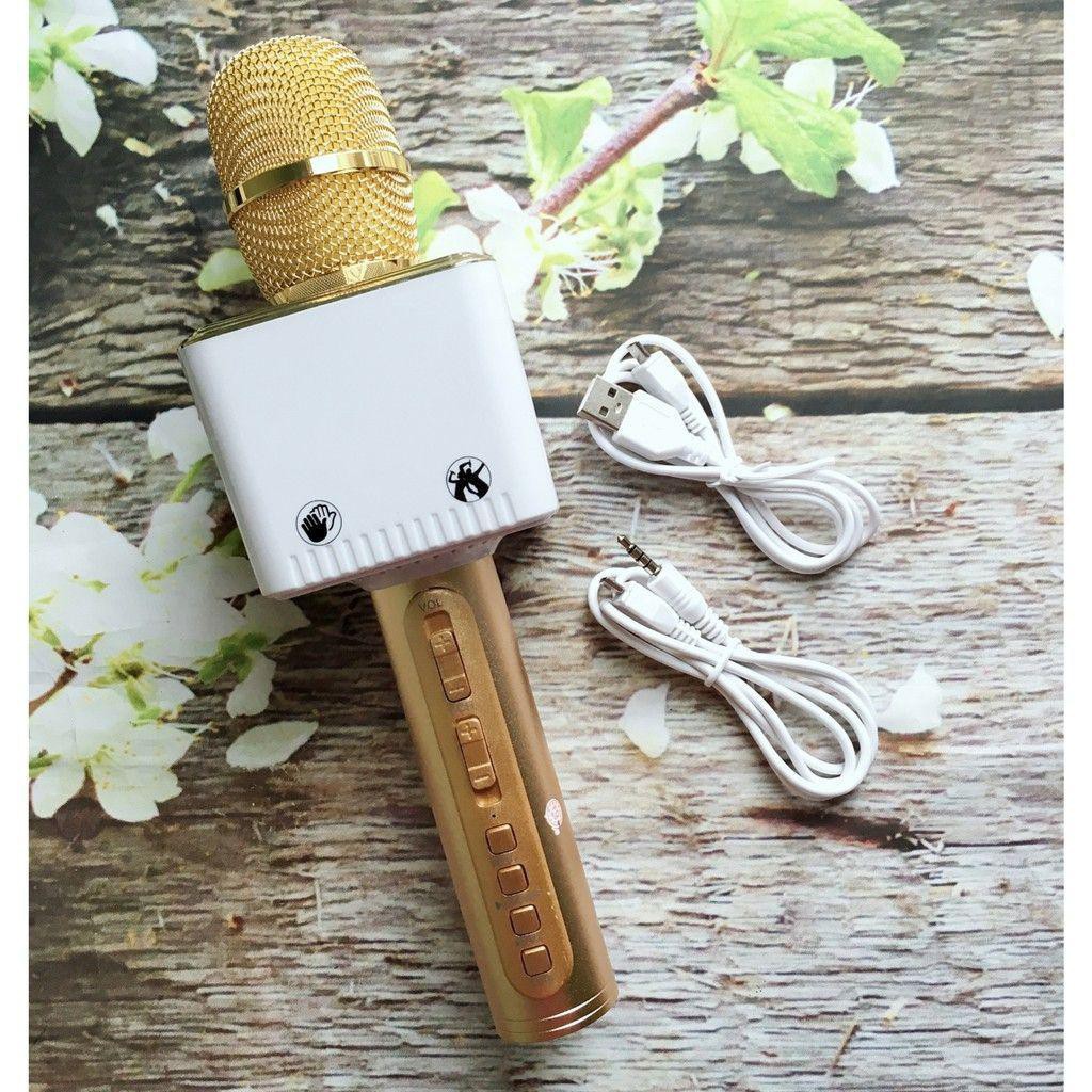 Mic hát kèm loa bluetooth karaoke SD-12