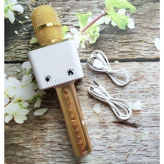 Mic hát kèm loa bluetooth karaoke SD-12