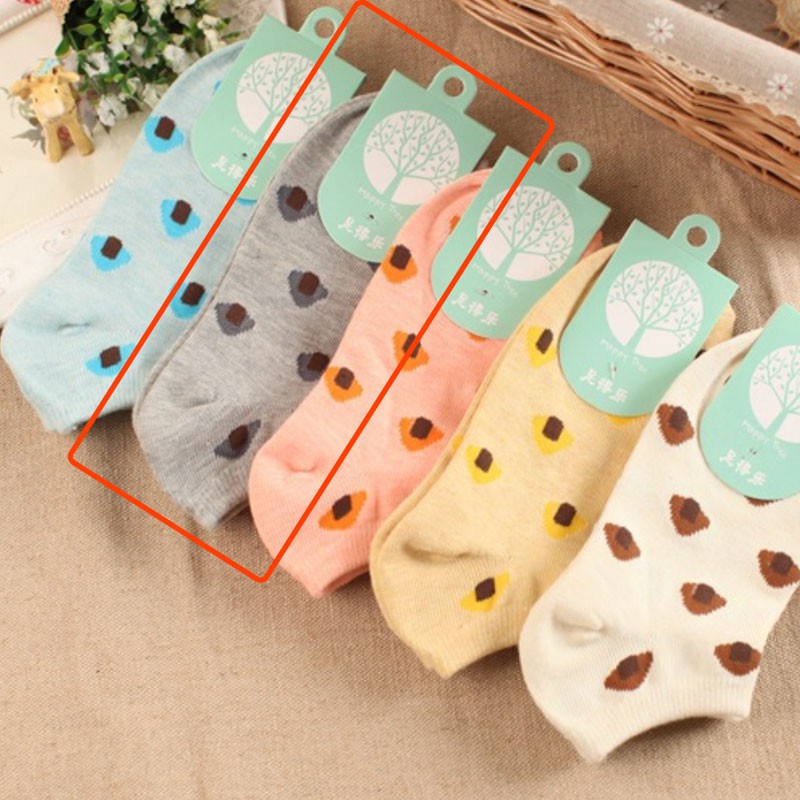 [HÀNG CÓ SẴN] Vớ nữ cổ ngắn xuân hè kiểu dáng mới tất nhiều màu sắc V2