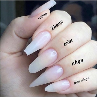 [Nail Box] Móng giả thiết kế giá rẻ