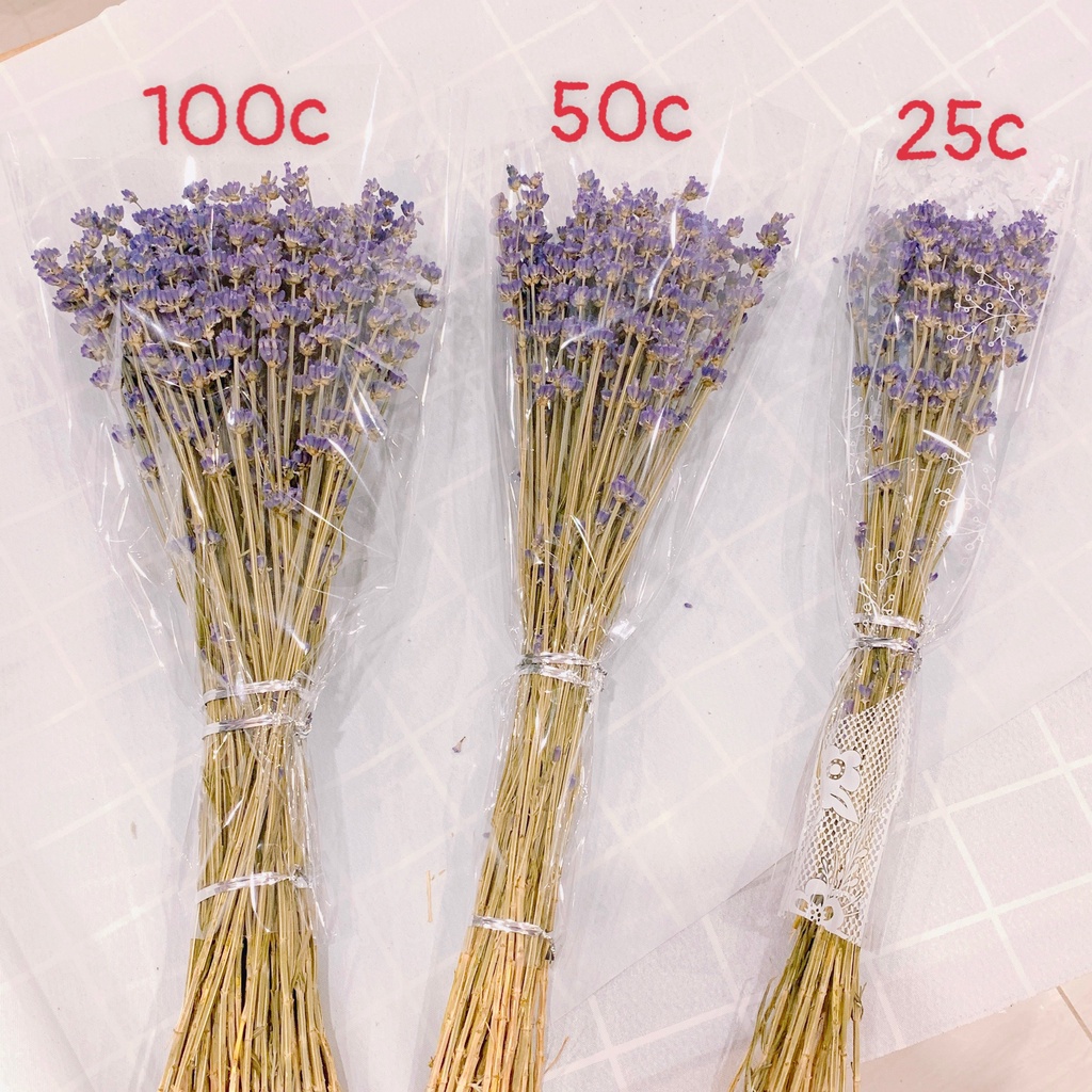 Bó 100 cành hoa Lavender khô thơm phòng, trang trí nhà cửa, nội thất