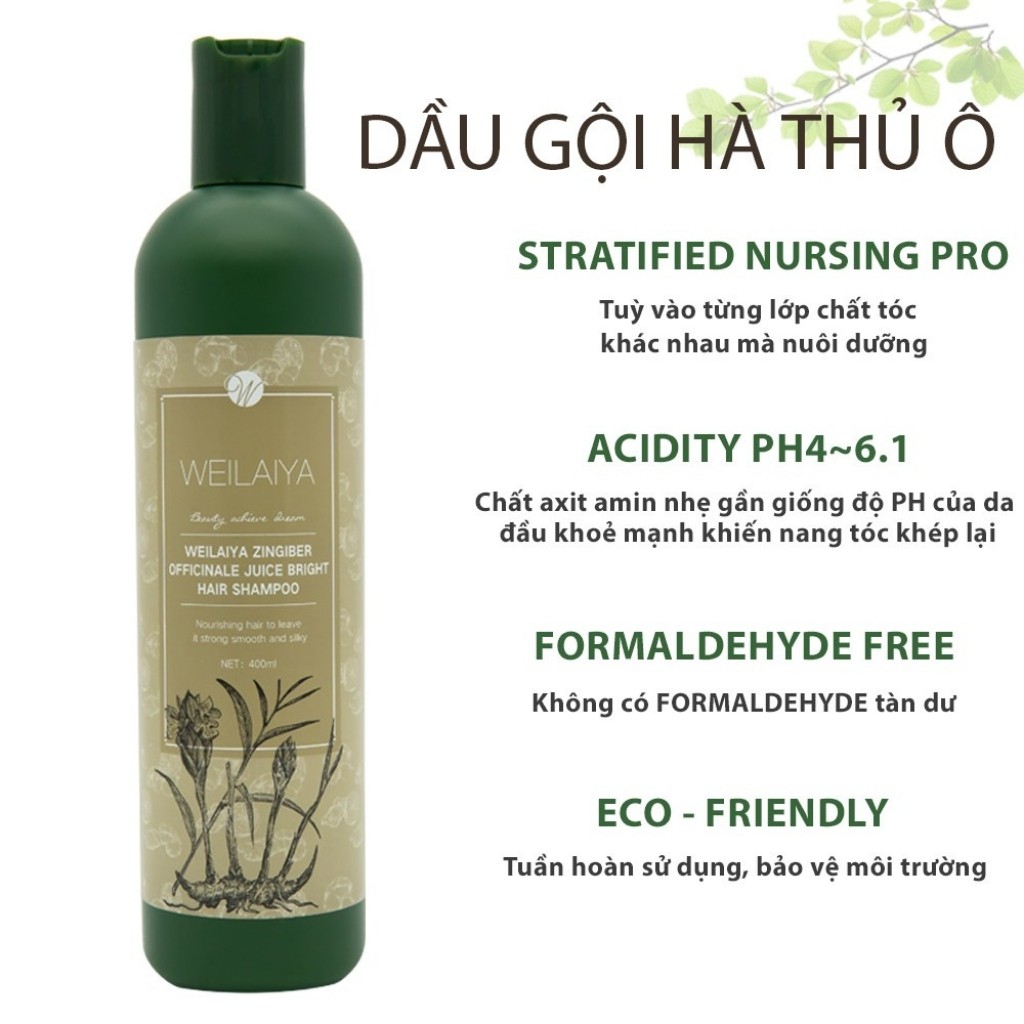 Dầu Gội Thảo Mộc, Dầu Gội Ngăn Ngừa Rụng Tóc Thảo Dược Weilaiya 400ml - Habala Shop