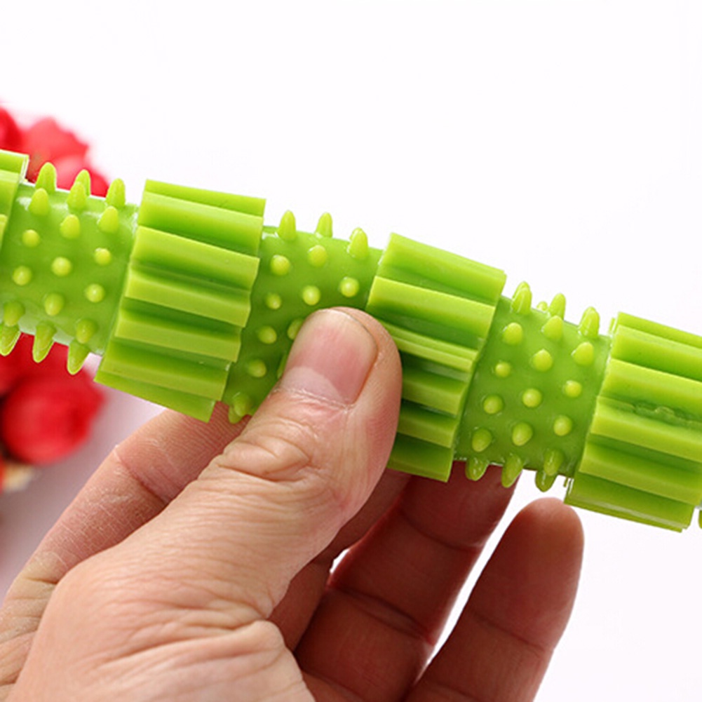 Đồ Chơi Nhai Gặm Bằng Cao Su Cho Thú Cưng