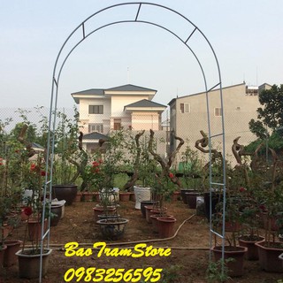 Khung vòm cho hoa hồng leo, cây trang trí