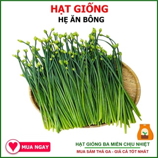 Hạt Giống Hẹ Ăn Bông Cao Sản Chịu Nhiệt