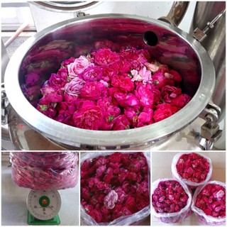 NƯỚC HOA HỒNG- MỊN DA