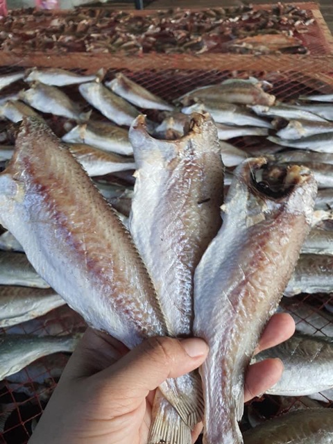 Khô Cá Lù Đù Lớn 1kg ( vị mặn) | BigBuy360 - bigbuy360.vn