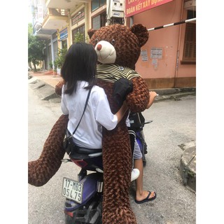 Gấu bông Tedy 2met vải may
