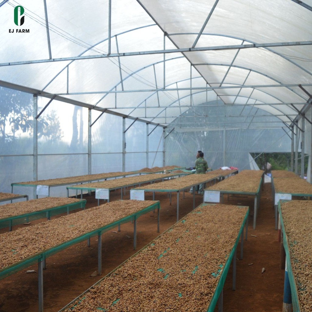 Cà phê nguyên chất rang mộc Robusta ENJOY COFFEE (500g) | BigBuy360 - bigbuy360.vn