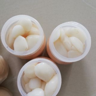 MỠ TRĂN TƯƠI