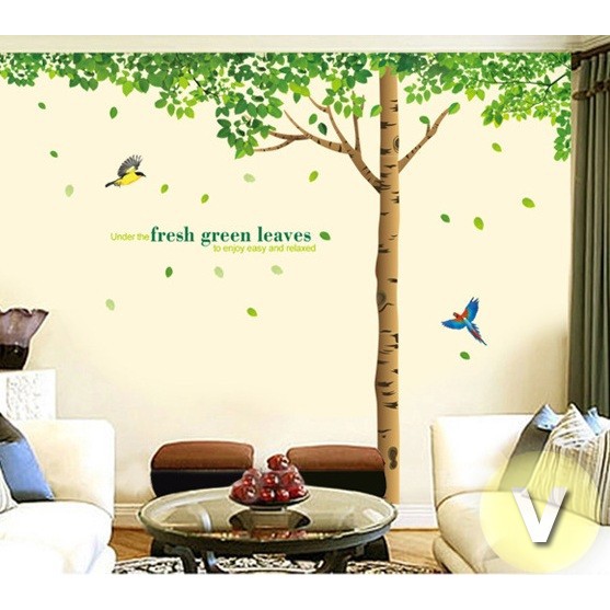 Decal dán tường Cây cổ thụ size to