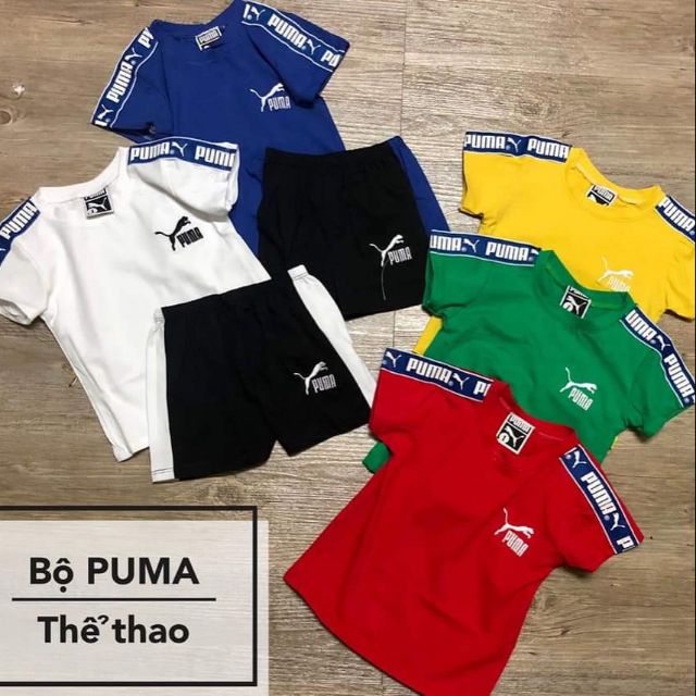 bô puma hàng đại