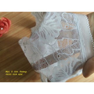 Combo 10 Quần đúc su pha ren quyến rũ ( giá sỉ)