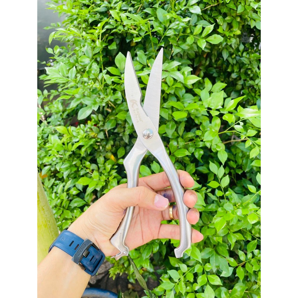 Kéo cắt xương gà, xương vịt KAPUSI JAPAN 10 inch. Bảo hành 12 tháng