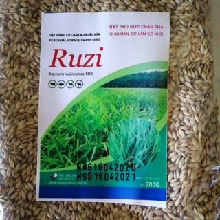 Giống Cỏ Ruzi - Chịu Dẫm đạp (Gói 200g)