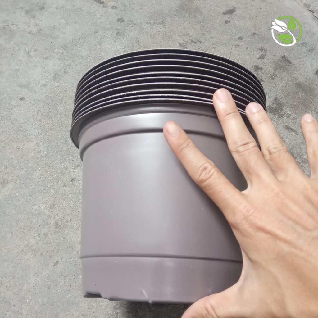 Chậu nhựa mềm Đường kính 20x15cm- combo 10 cái