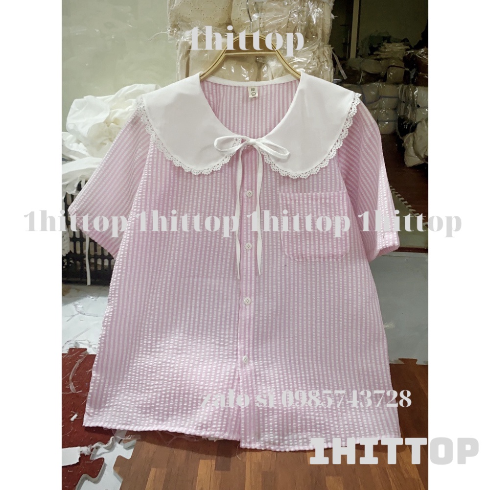 áo sơ mi kẻ cổ bèo tiểu thư 2 màu ngắn tay kaca 1hittop | BigBuy360 - bigbuy360.vn