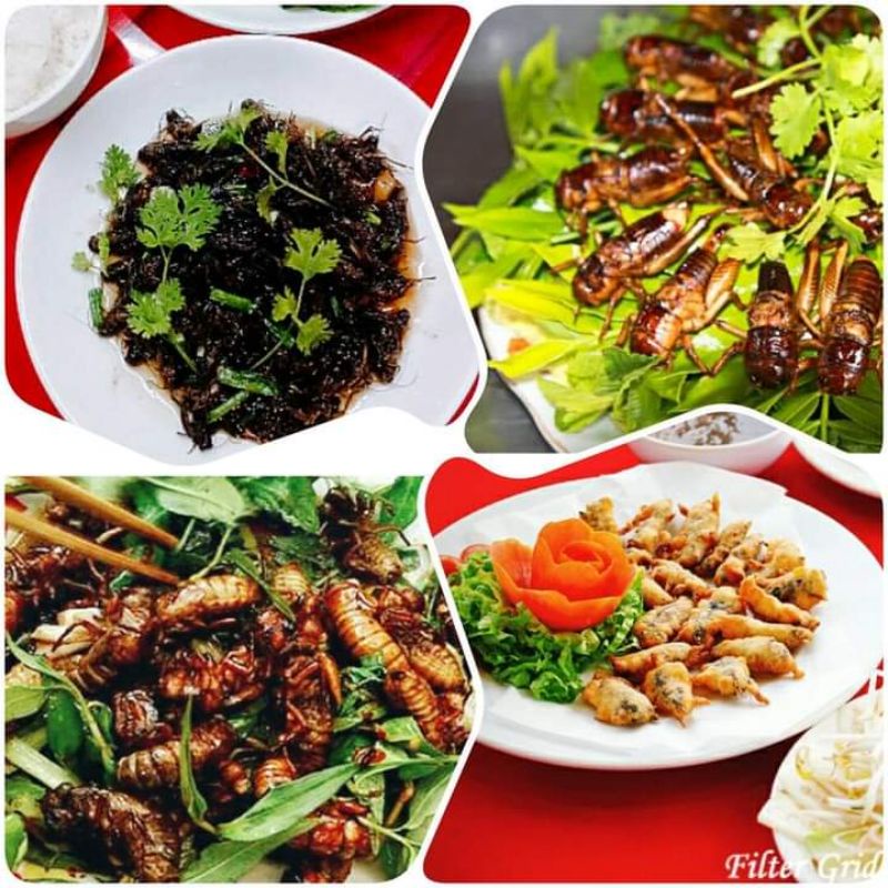 DẾ TRỨNG 500 GRAM NHẶT CÁNH SẲN  HÀNG TƯƠI NGON